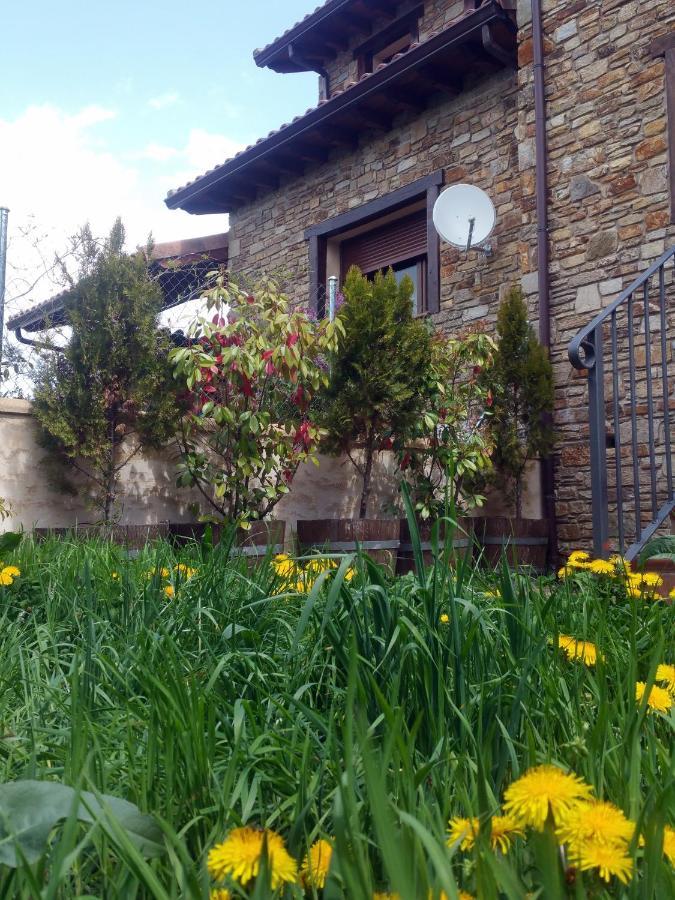 El Huerto De Leon Villa Pradena del Rincon Exterior foto